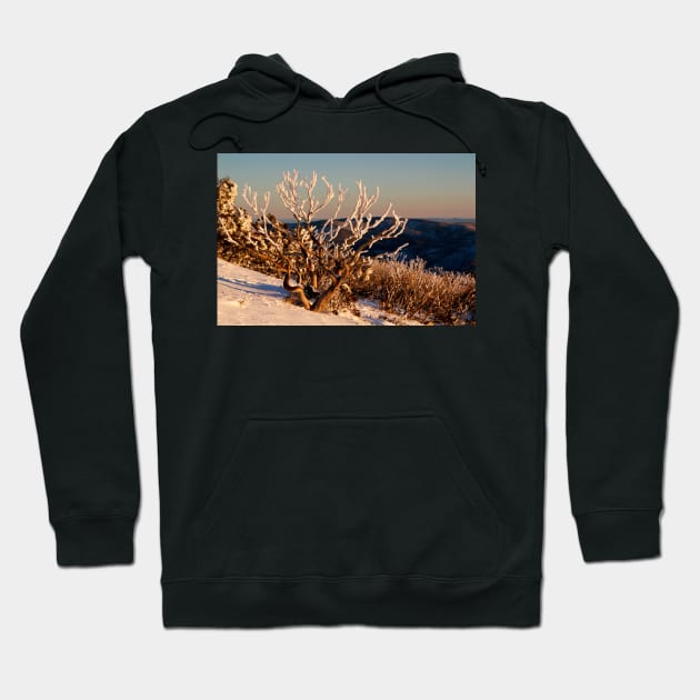 Sunset on the mountainside Hoodie by jwwallace